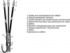 3 КВТп 10(150-240)